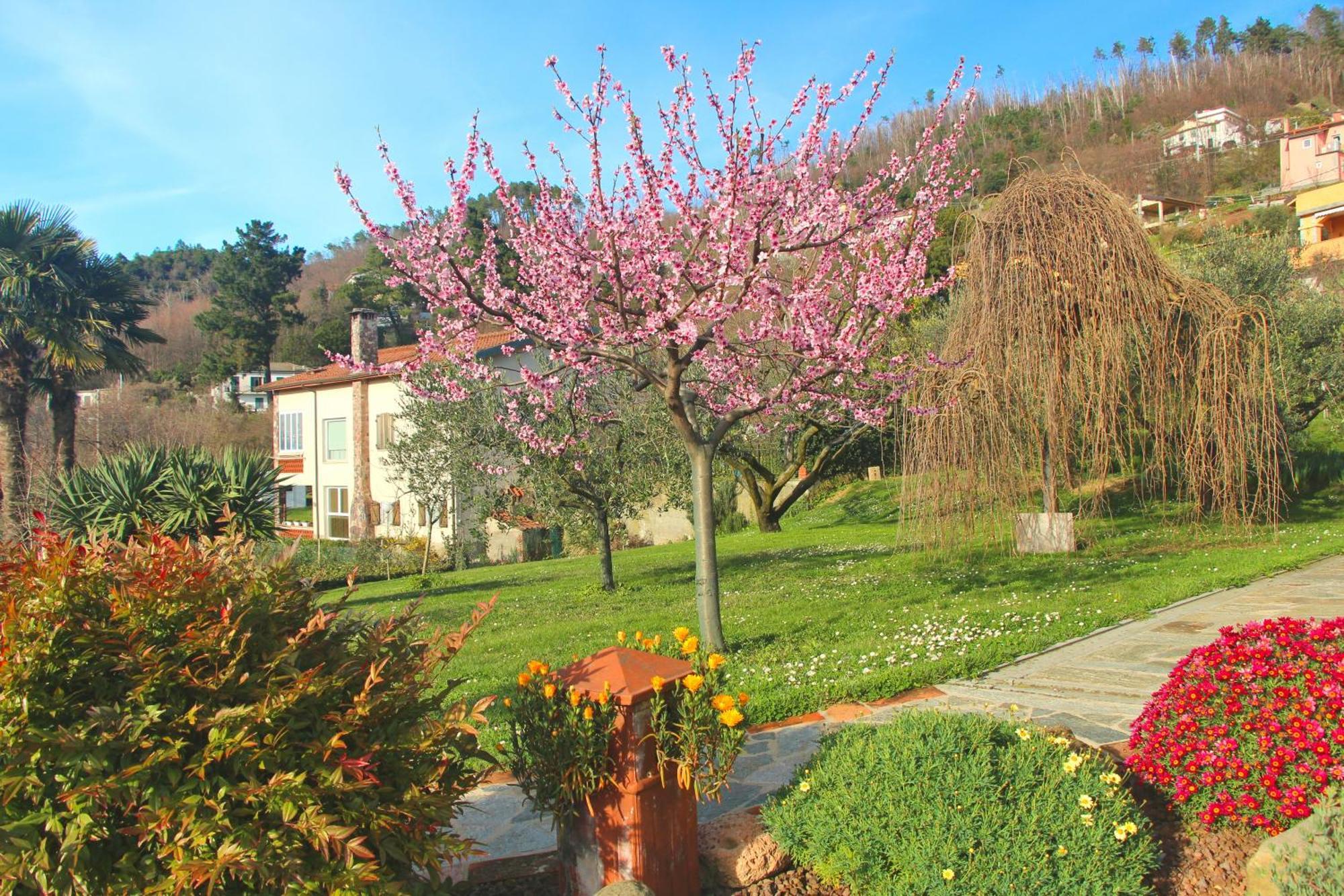 Casa Vacanze Ester Polverara 外观 照片