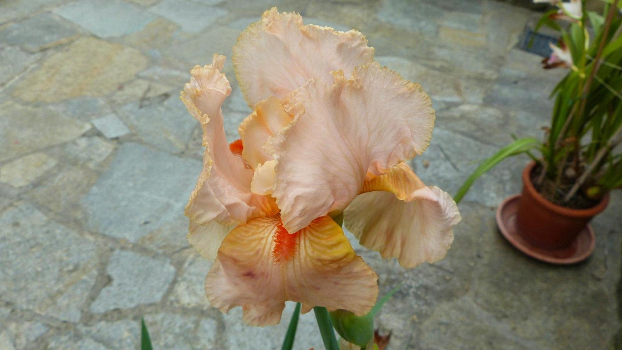 Casa Vacanze Ester Polverara 外观 照片