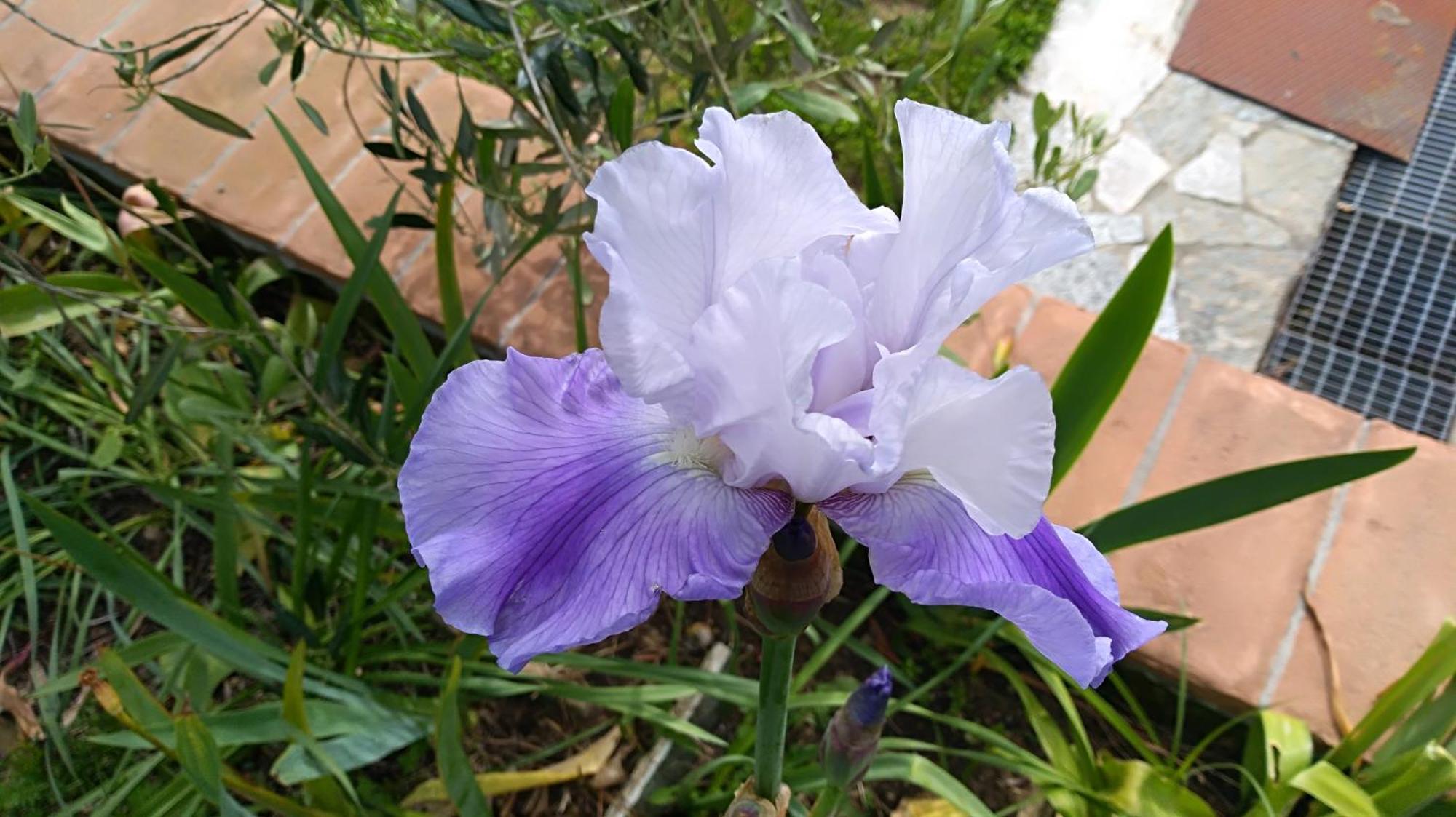 Casa Vacanze Ester Polverara 外观 照片